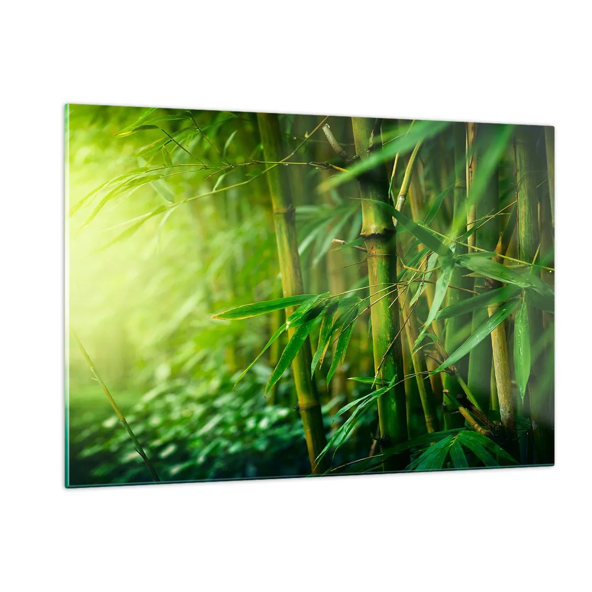 Cuadro sobre vidrio - Impresiones sobre Vidrio - Bosque de bambú verde bajo el sol - 120x80cm - Conocer el propio verdor - Decoración de pared moderna para salón y dormitorio ARTTOR