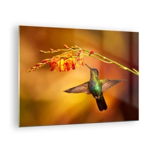 Cuadro sobre vidrio - Impresiones sobre Vidrio - Colibrí junto a flores en un resplandor dorado. - 70x50cm - Mensajero de la luz - Decoración de pared moderna para salón y dormitorio ARTTOR