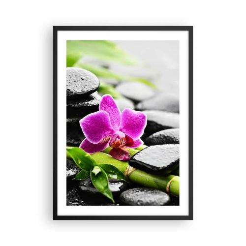 Póster en marco negro - Orquídea morada sobre piedras mojadas y hojas verdes. - 50x70cm - En equilibrio pacífico - Decoración de pared moderna para salón y dormitorio ARTTOR