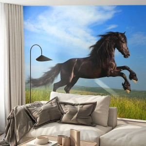 Fotomural Autadhesivo Deluxe Sticker - Emocionante manifiesto de libertad - animales, Caballo, Paisaje - 100x70 cm