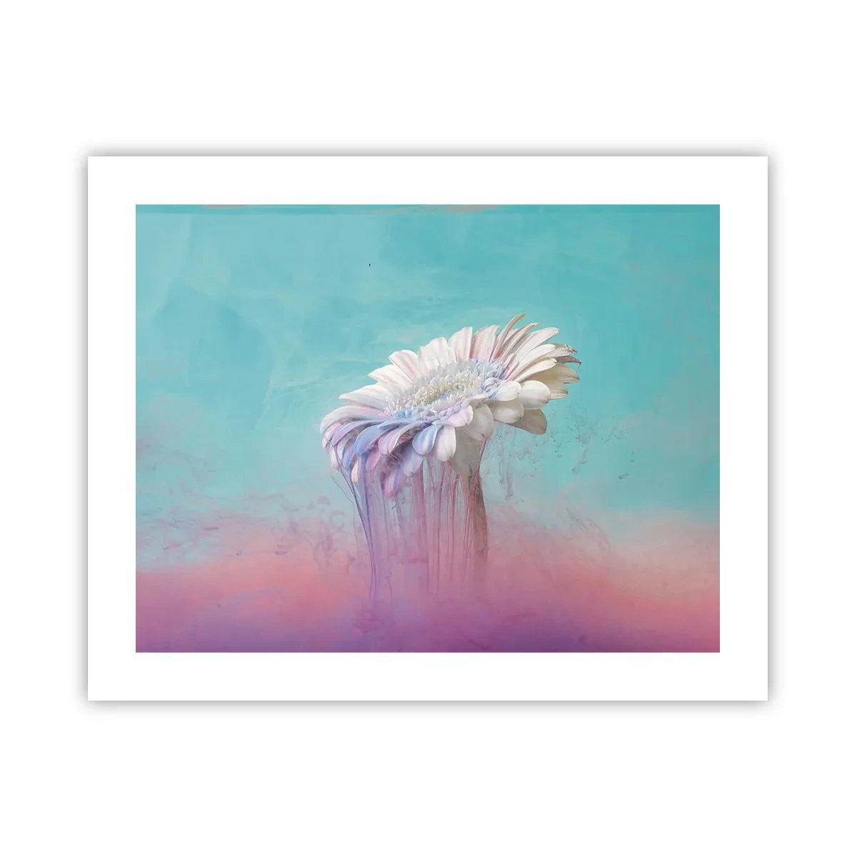 Póster - El inframundo de las flores - 50x40 cm