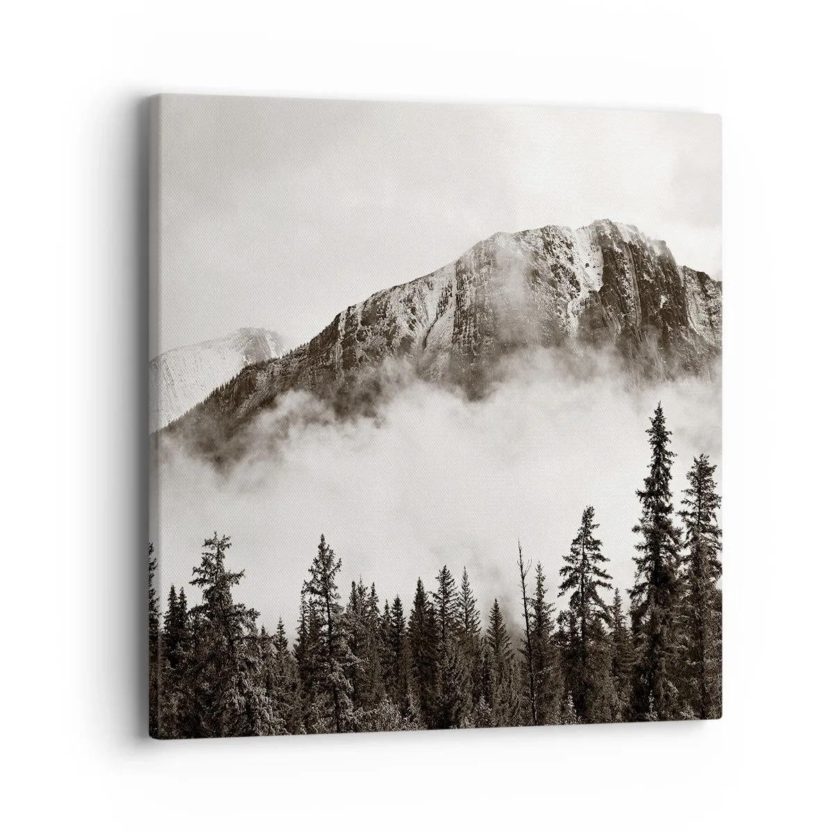 Cuadro sobre lienzo - Impresión de Imagen - Gobernante de granito - 40x40 cm