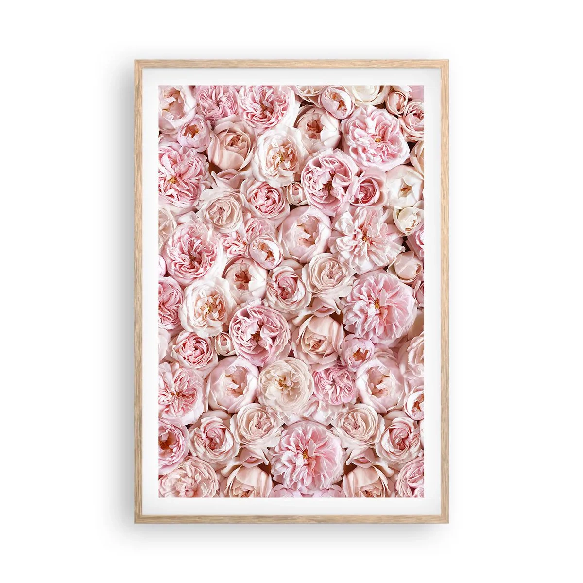 Póster en marco roble claro - Salpicado de rosas - 61x91 cm