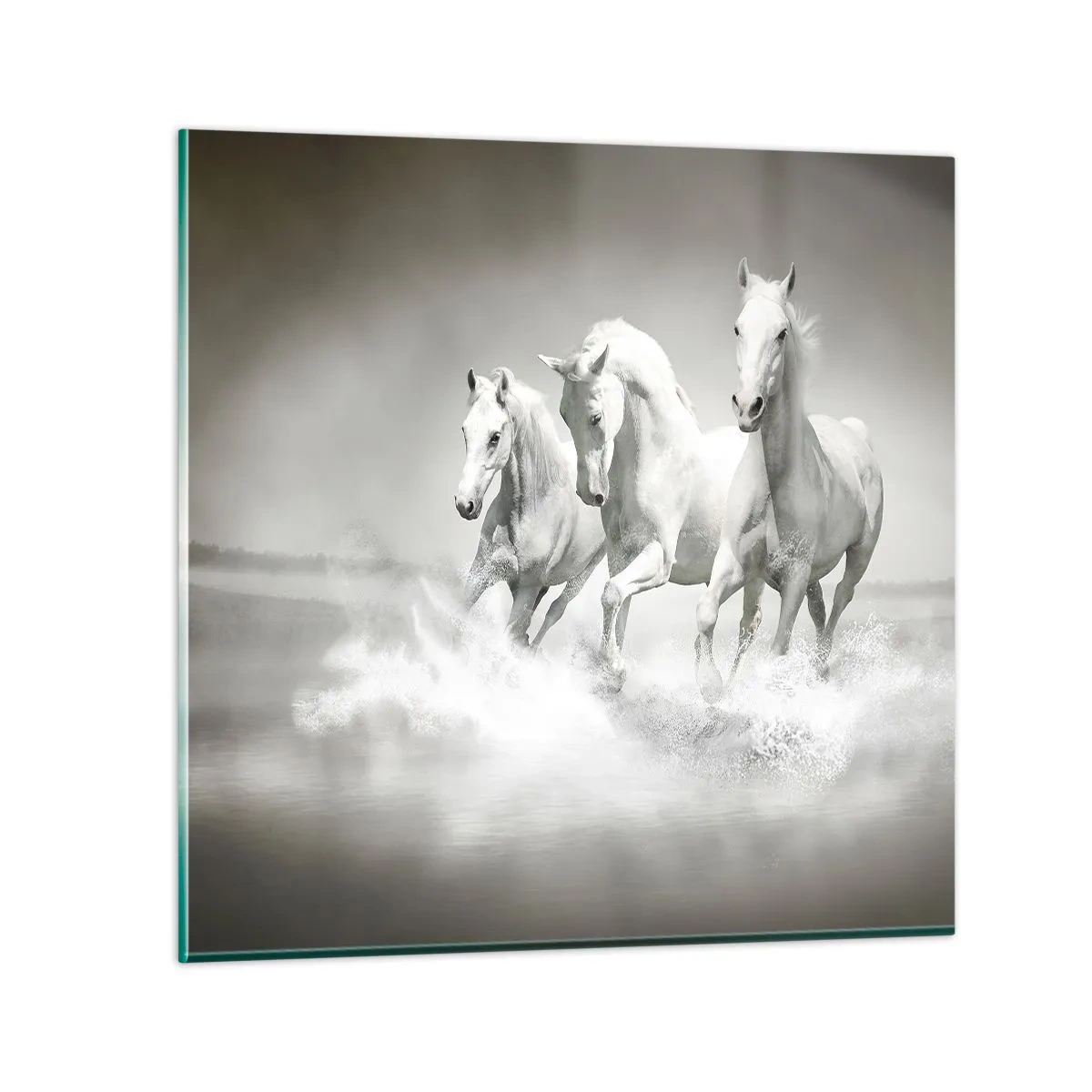 Cuadro sobre vidrio - Impresiones sobre Vidrio - Locura blanca - 50x50 cm