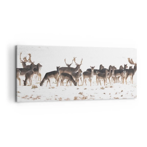 Cuadro sobre lienzo - Impresión de Imagen - ¿Se acerca la Navidad? - 100x40 cm
