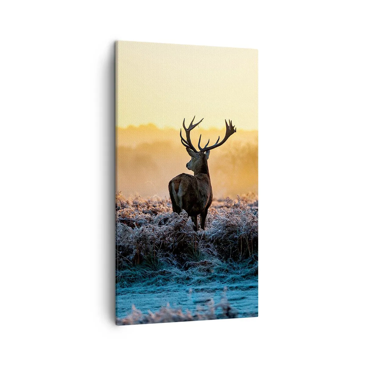 Cuadro sobre lienzo - Impresión de Imagen - Coronado en sus propios dominios - 45x80 cm