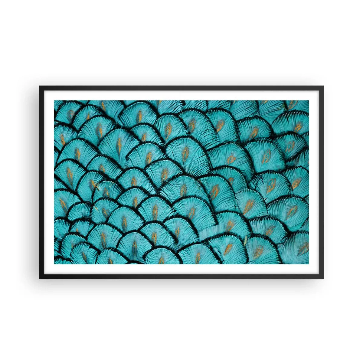 Póster en marco negro - La gran gala de las plumas - 91x61 cm