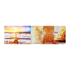 Muestra de fotomural Premium Sand - Regalo del mar - Estrella de mar, Playa, Océano - 100x30 cm