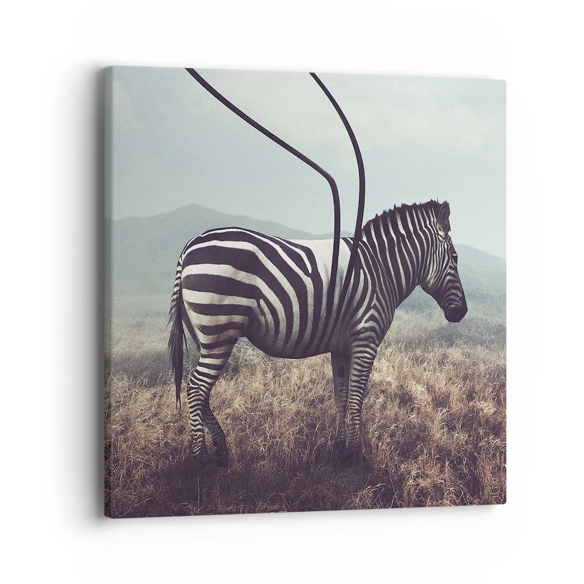 Cuadro sobre lienzo - Impresión de Imagen - Fallo en Matrix - 40x40 cm