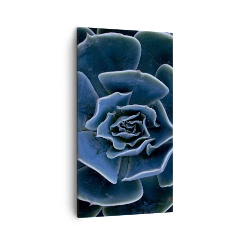 Cuadro sobre lienzo - Impresión de Imagen - Flor del desierto - 45x80 cm