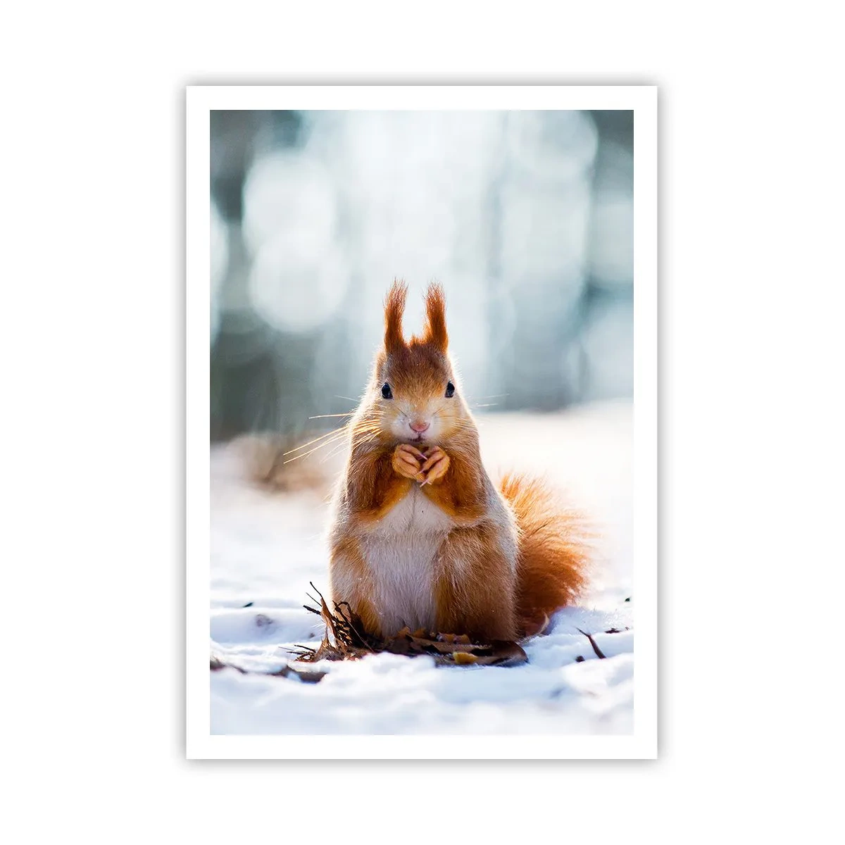 Póster - ¿Qué estás mirando? - 70x100 cm