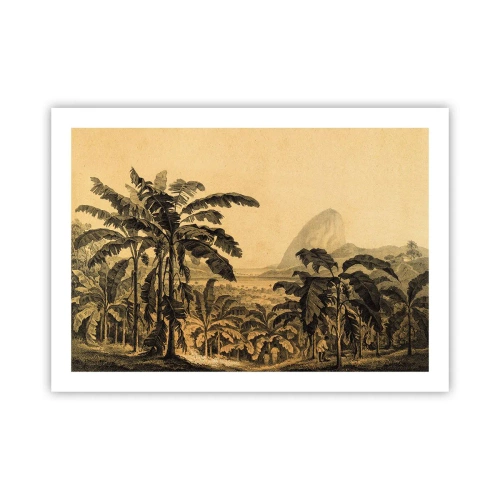 Póster - En un ambiente colonial - 70x50 cm