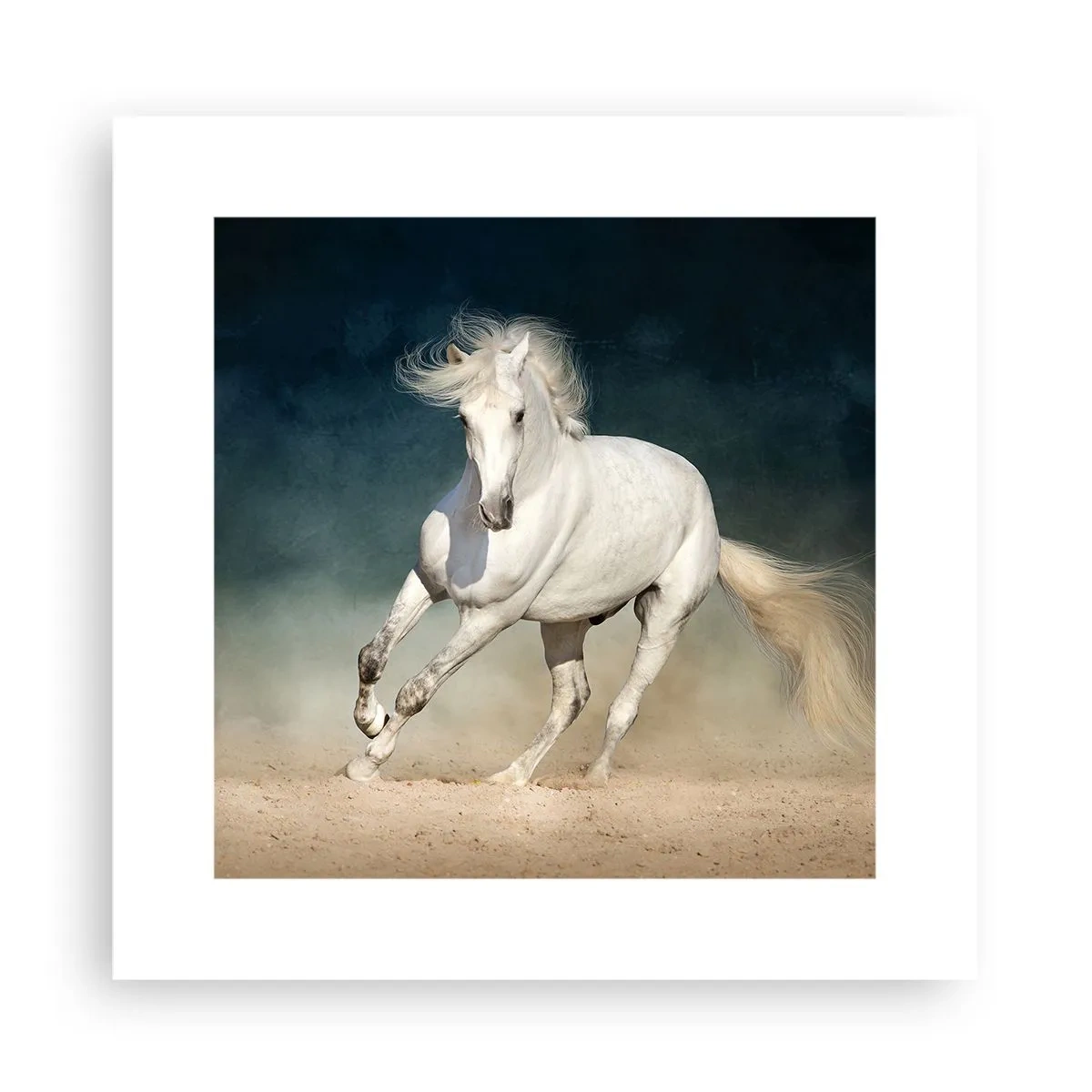 Póster - Libertad en estado puro - 30x30 cm