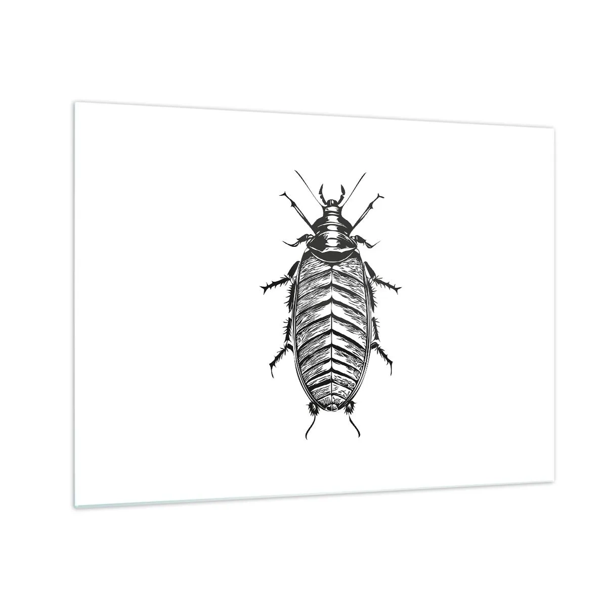 Cuadro sobre vidrio - Impresiones sobre Vidrio - Ilustración en blanco y negro de un insecto sobre un fondo blanco. - 70x50cm - ¡Qué espécimen! - Decoración de pared moderna para salón y dormitorio ARTTOR