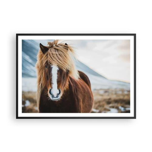 Póster en marco negro - Caballo islandés frente a un paisaje montañoso - 100x70cm - ¿Puedes sentir la libertad? - Decoración de pared moderna para salón y dormitorio ARTTOR