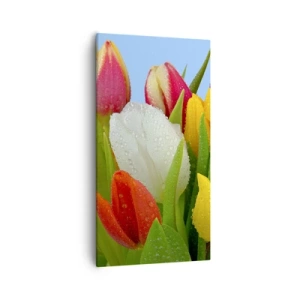 Cuadro sobre lienzo - Impresión de Imagen - Arco iris floral en gotas de rocío - 55x100 cm