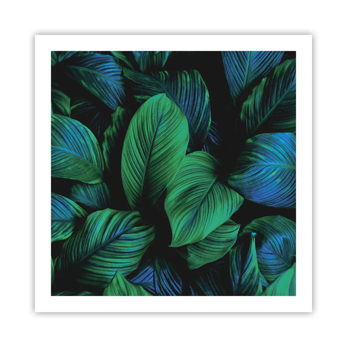 Póster - En la multitud verde - 60x60 cm