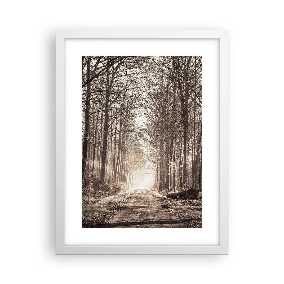 Póster en marco blanco - La catedral del bosque - 30x40 cm