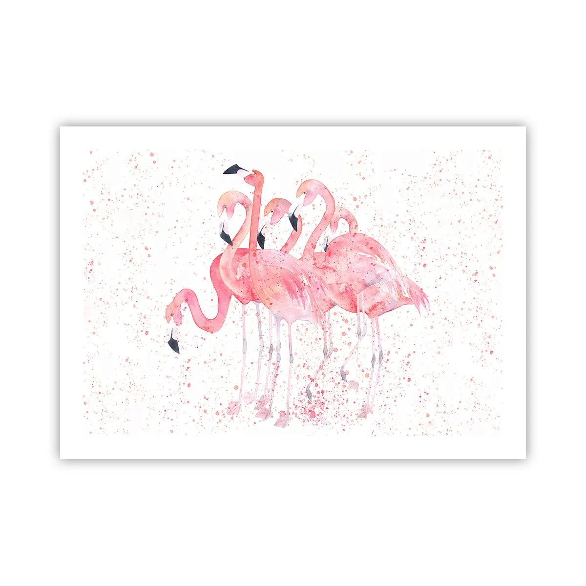 Póster - Asamblea rosa - 70x50 cm