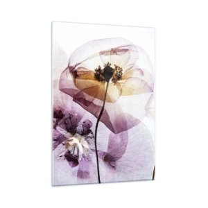 Cuadro sobre vidrio - Impresiones sobre Vidrio - Delicadas flores en colores pastel transparentes sobre un fondo claro. - 50x70cm - Cuerpo de flor - Decoración de pared moderna para salón y dormitorio ARTTOR