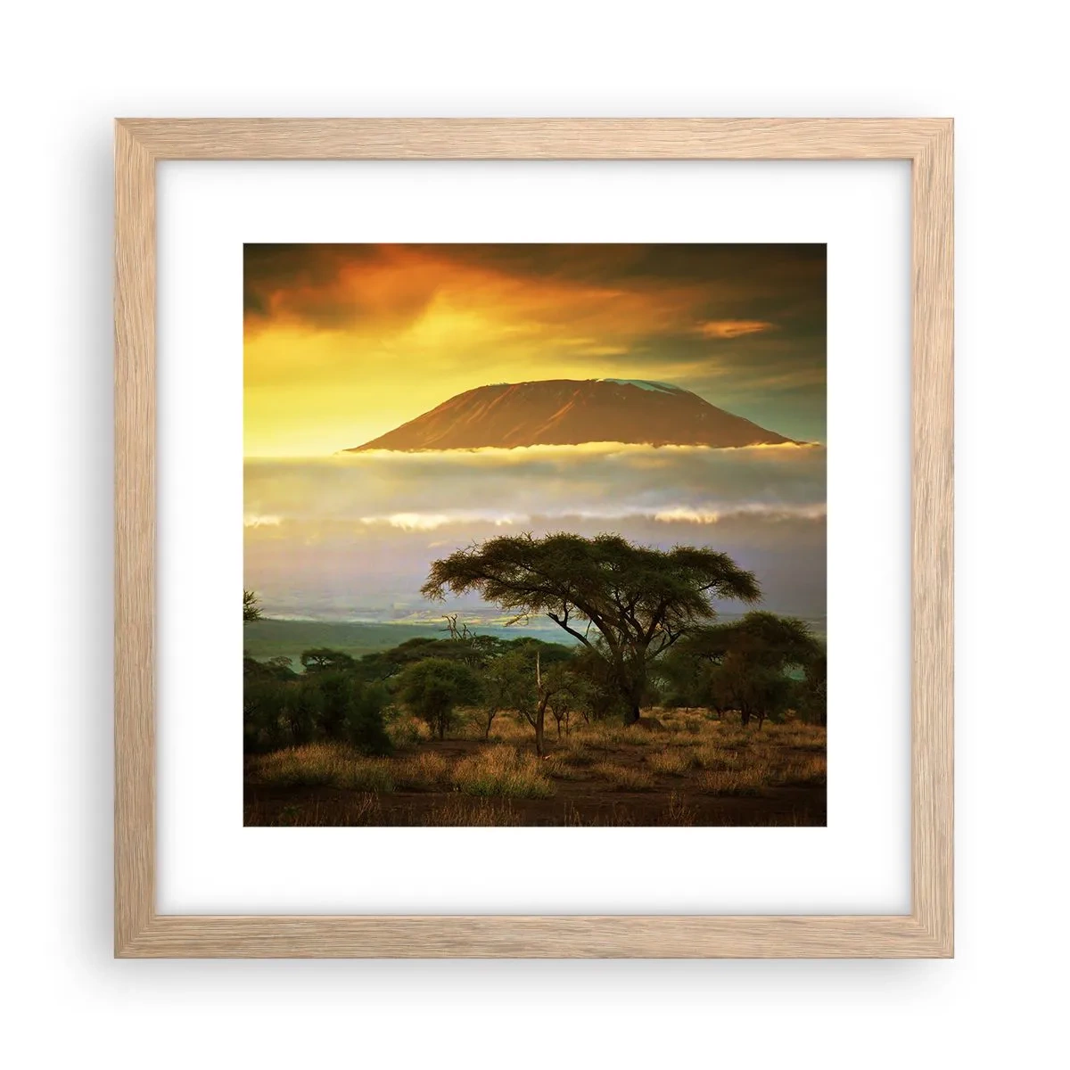 Póster en marco roble claro - El sueño del viajero - 30x30 cm