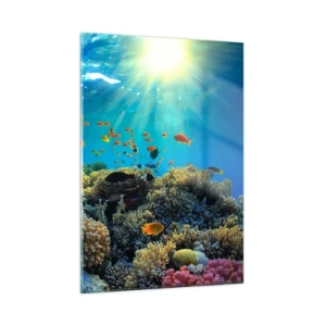Cuadro sobre vidrio - Impresiones sobre Vidrio - Un colorido arrecife de coral iluminado por los rayos del sol. - 50x70cm - Tesoros submarinos - Decoración de pared moderna para salón y dormitorio ARTTOR