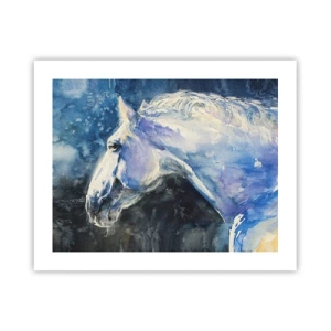 Póster - Retrato en un resplandor azul - 50x40 cm