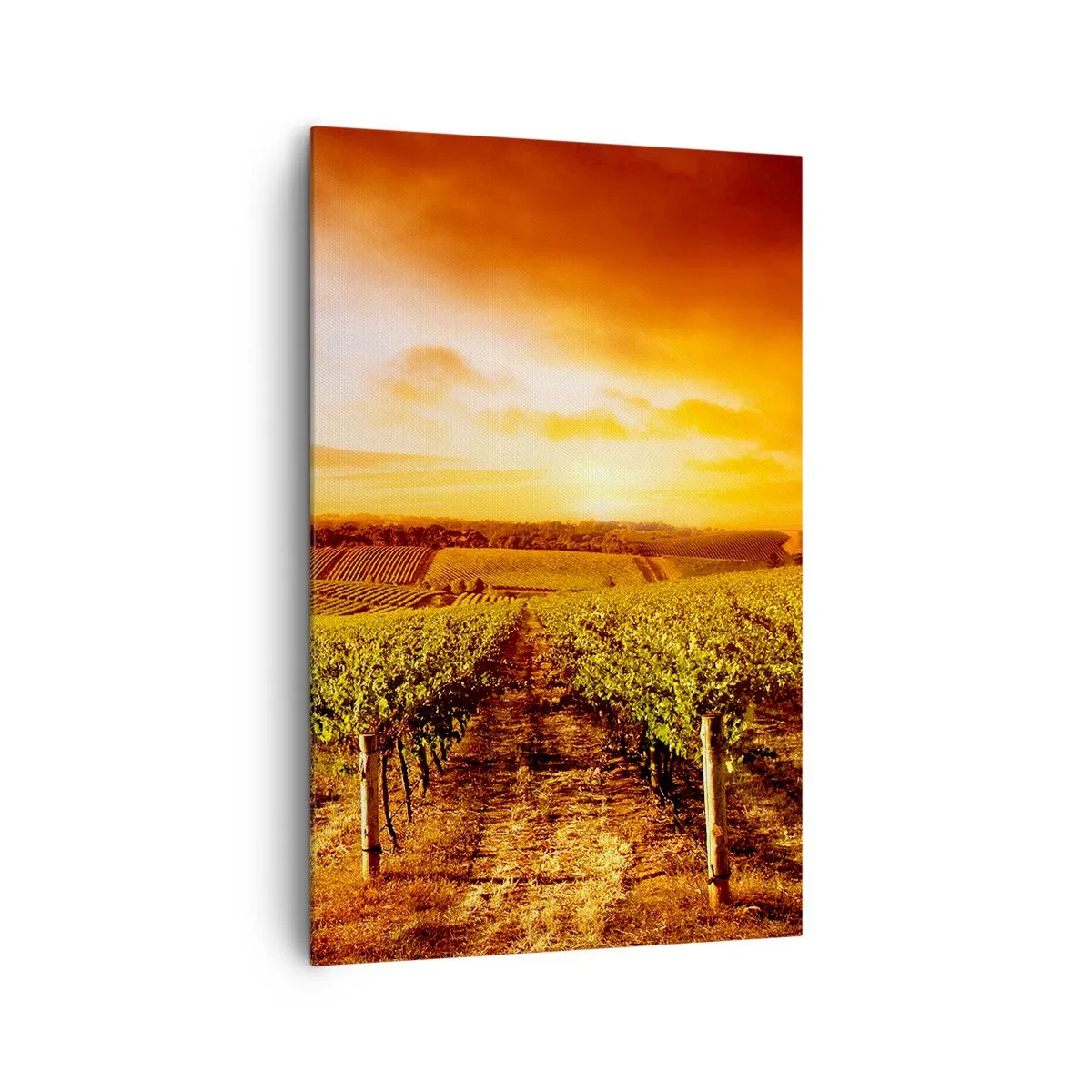 Cuadro sobre lienzo - Impresión de Imagen - Viñedo al atardecer con tonos cálidos del cielo. - 80x120cm - Delicadamente afrutado con un toque de sol - Decoración de pared moderna para salón y dormitorio ARTTOR