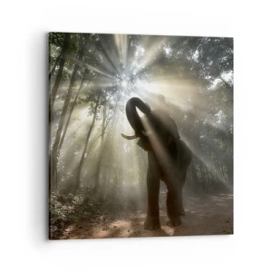 Cuadro sobre lienzo - Impresión de Imagen - Bajo una estrella de la suerte - 70x70 cm