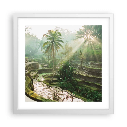 Póster en marco blanco - Crecer bajo el sol - 40x40 cm