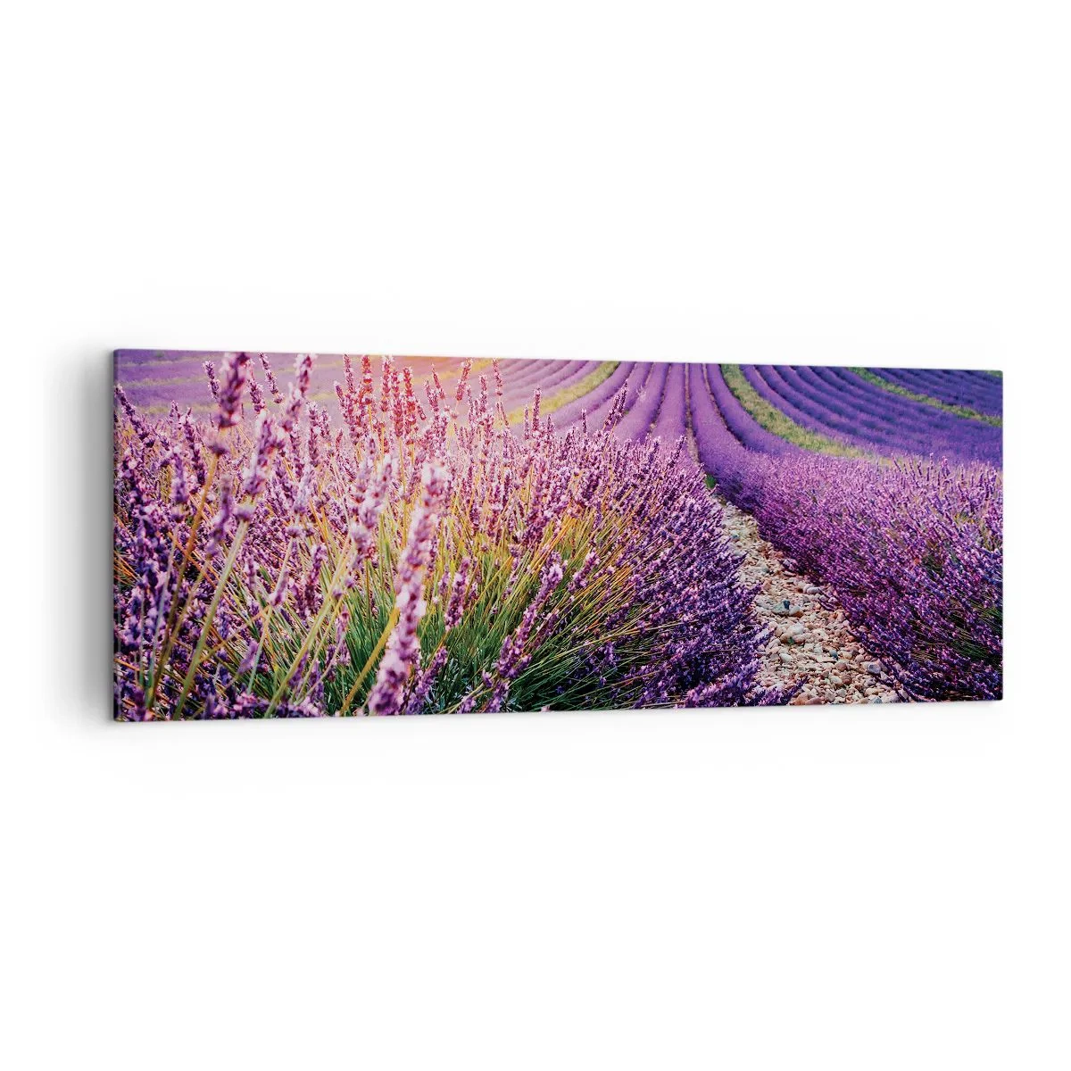 Cuadro sobre lienzo - Impresión de Imagen - Campo de lavanda al atardecer - 140x50cm - Pradera fragante - Decoración de pared moderna para salón y dormitorio ARTTOR