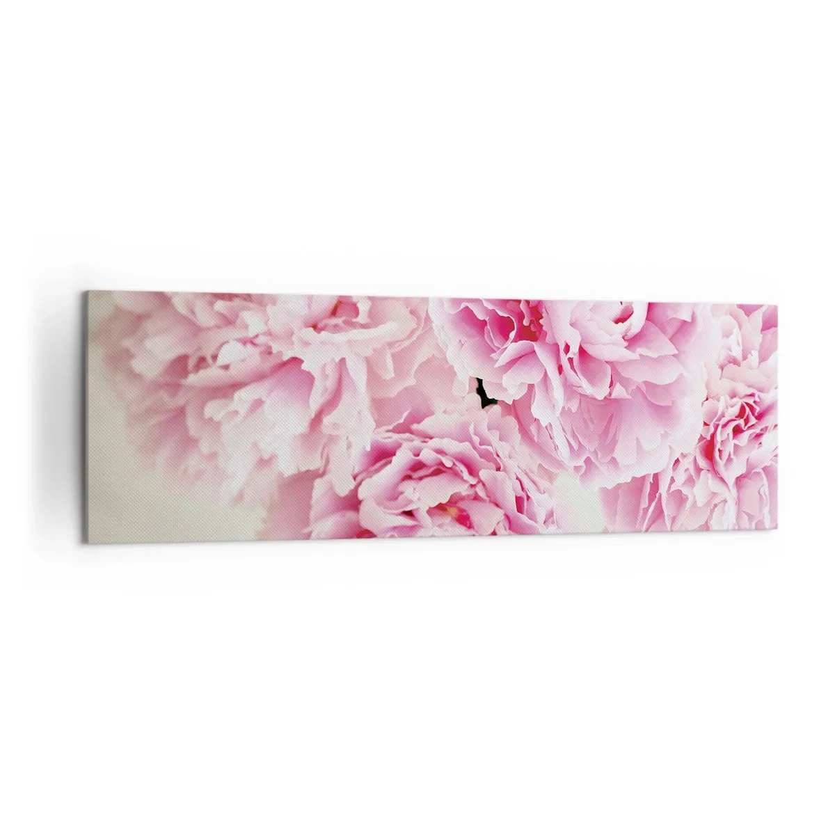 Cuadro sobre lienzo - Impresión de Imagen - Un ramo de peonías rosas sobre un fondo claro. - 160x50cm - En el esplendor del rosa - Decoración de pared moderna para salón y dormitorio ARTTOR