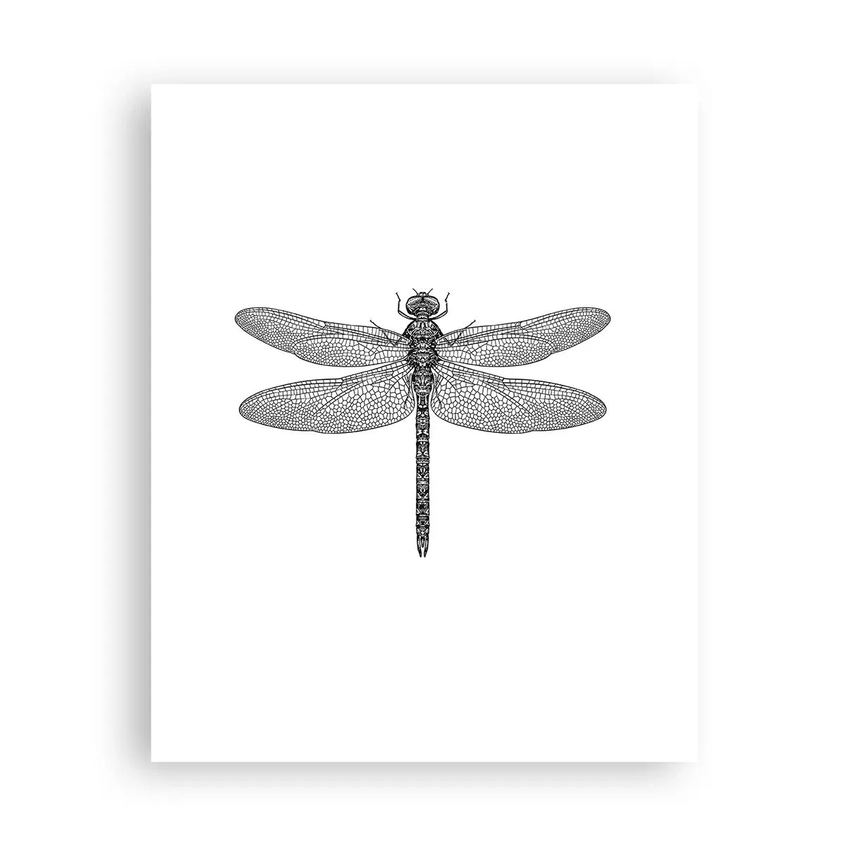 Póster - Precisión de la naturaleza - 40x50 cm