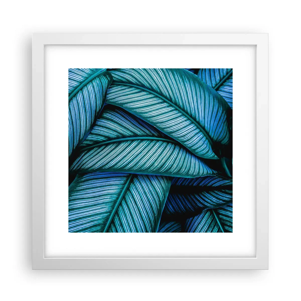 Póster en marco blanco - Líneas de vida - 30x30 cm