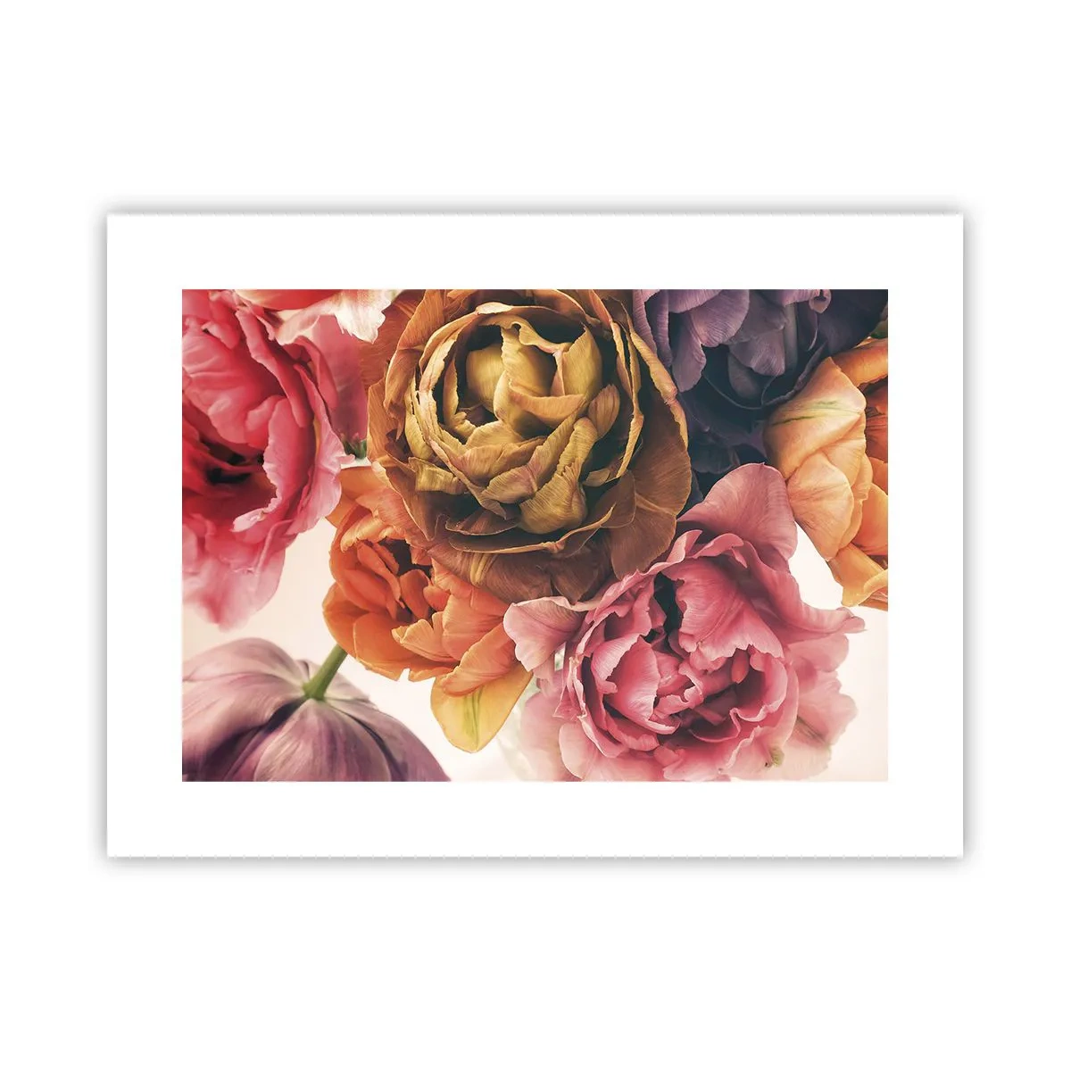 Póster - Celebración de la vida - 40x30 cm