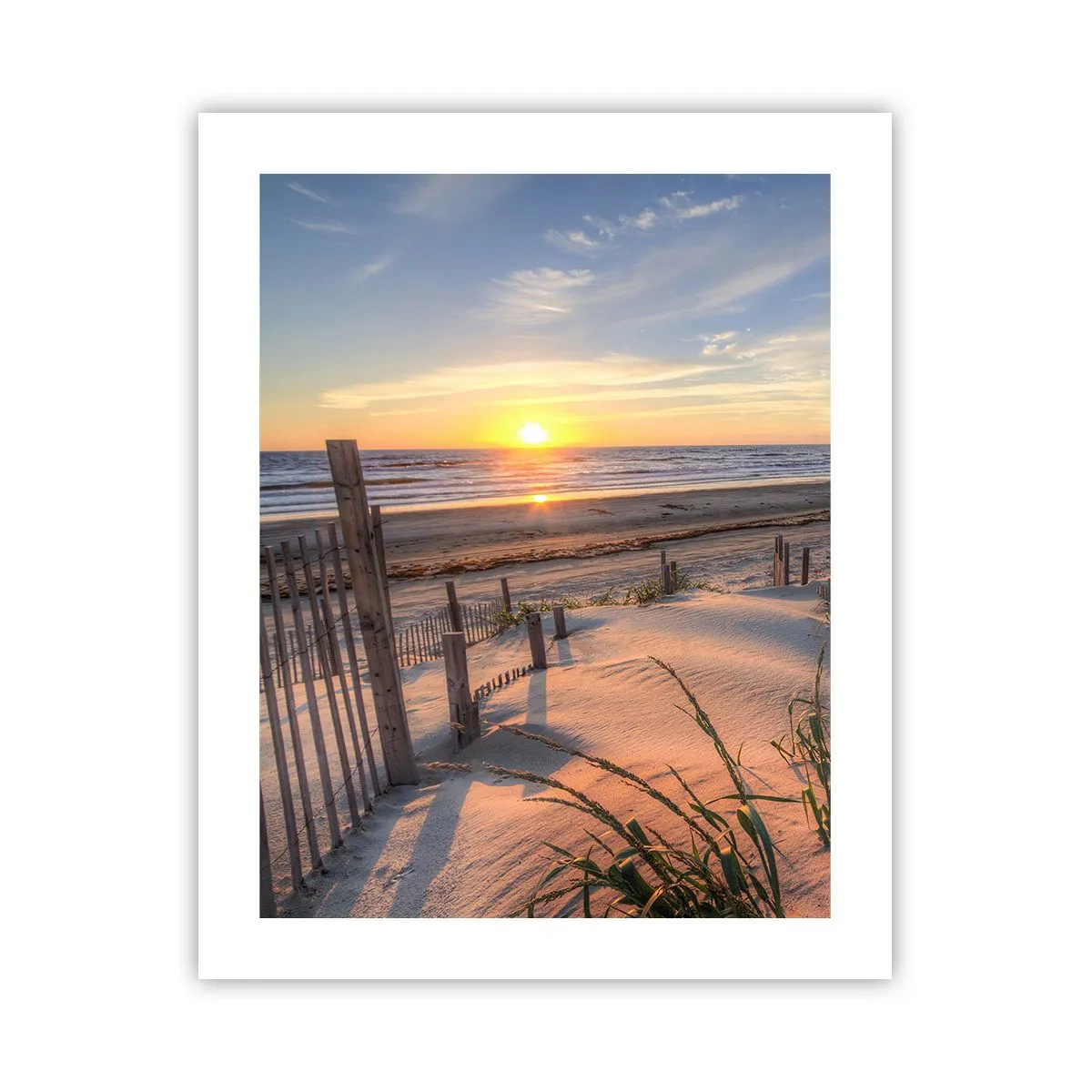 Póster - El resplandor y la sombra del viento - 40x50 cm