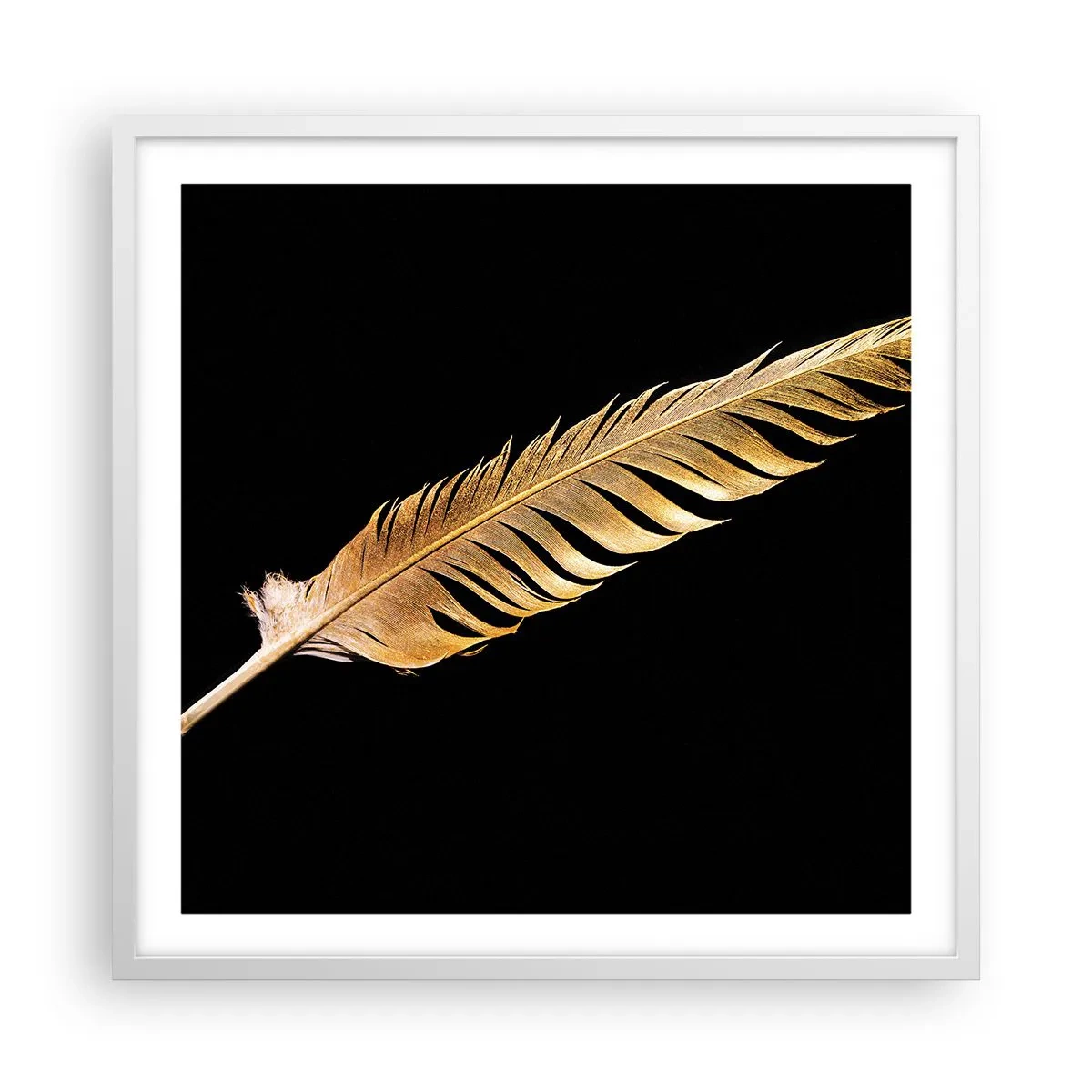 Póster en marco blanco - Pluma de alta calidad - 60x60 cm