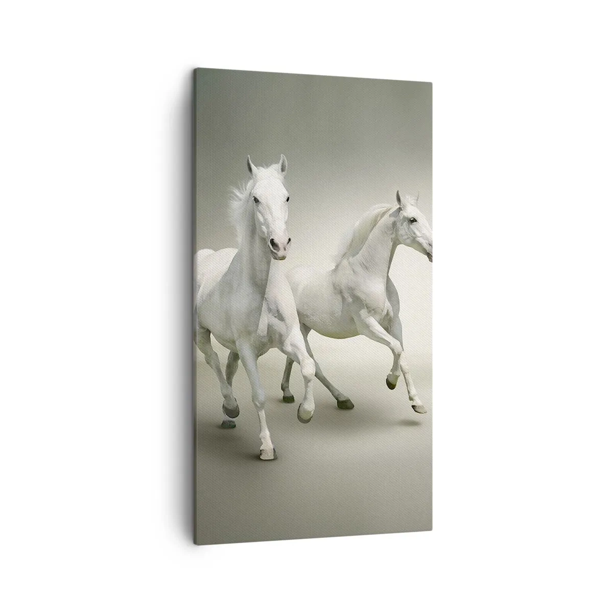 Cuadro sobre lienzo - Impresión de Imagen - ¡Poder blanco! - 45x80 cm