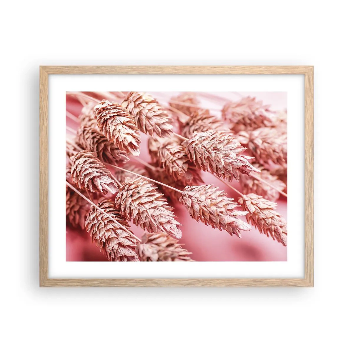 Póster en marco roble claro - Estructura floral en rosa - 50x40 cm