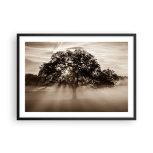 Póster en marco negro - Rayos de sol brillando a través de un árbol solitario. - 70x50cm - Un árbol de buenas noticias  - Decoración de pared moderna para salón y dormitorio ARTTOR
