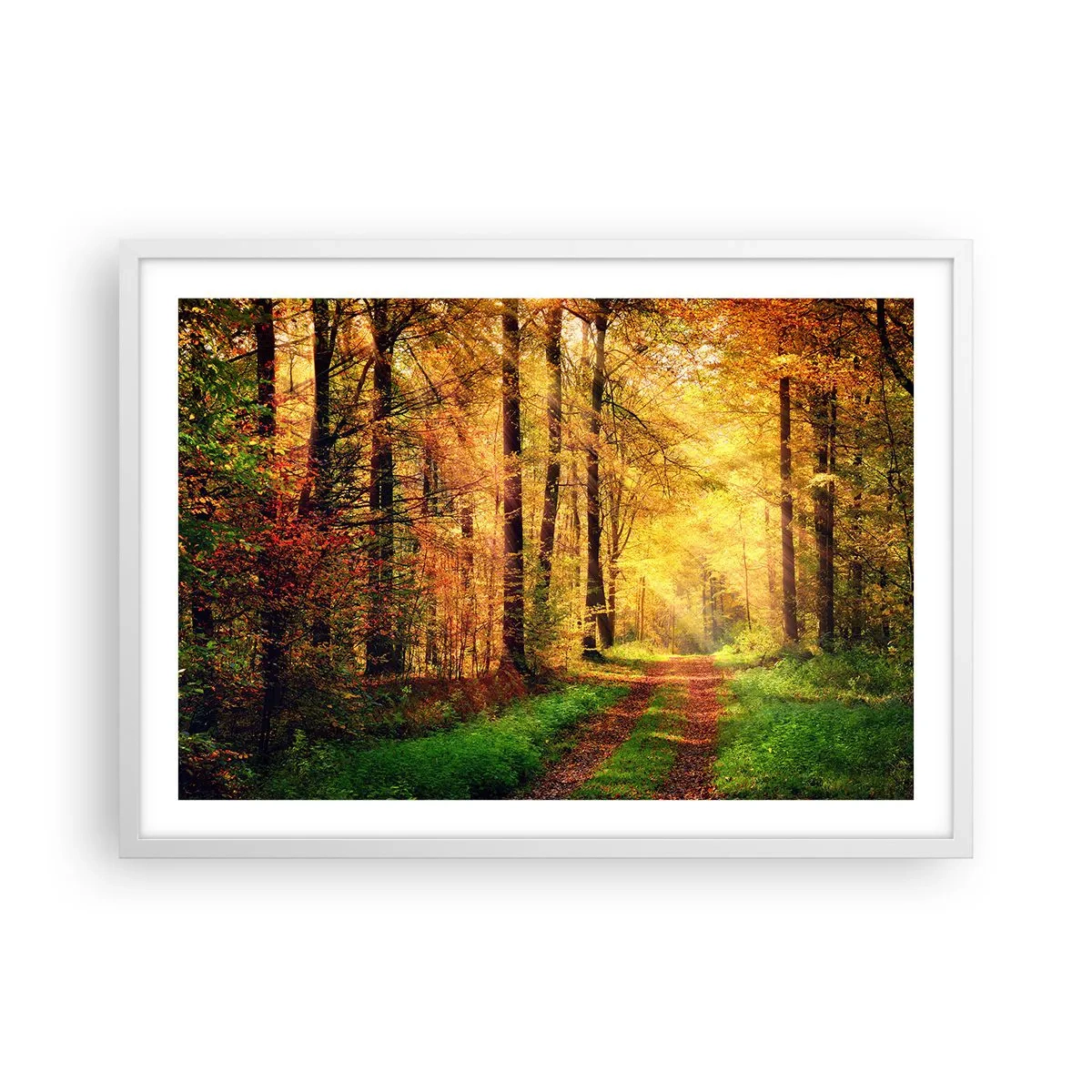 Póster en marco blanco - Silencio dorado del bosque - 70x50 cm