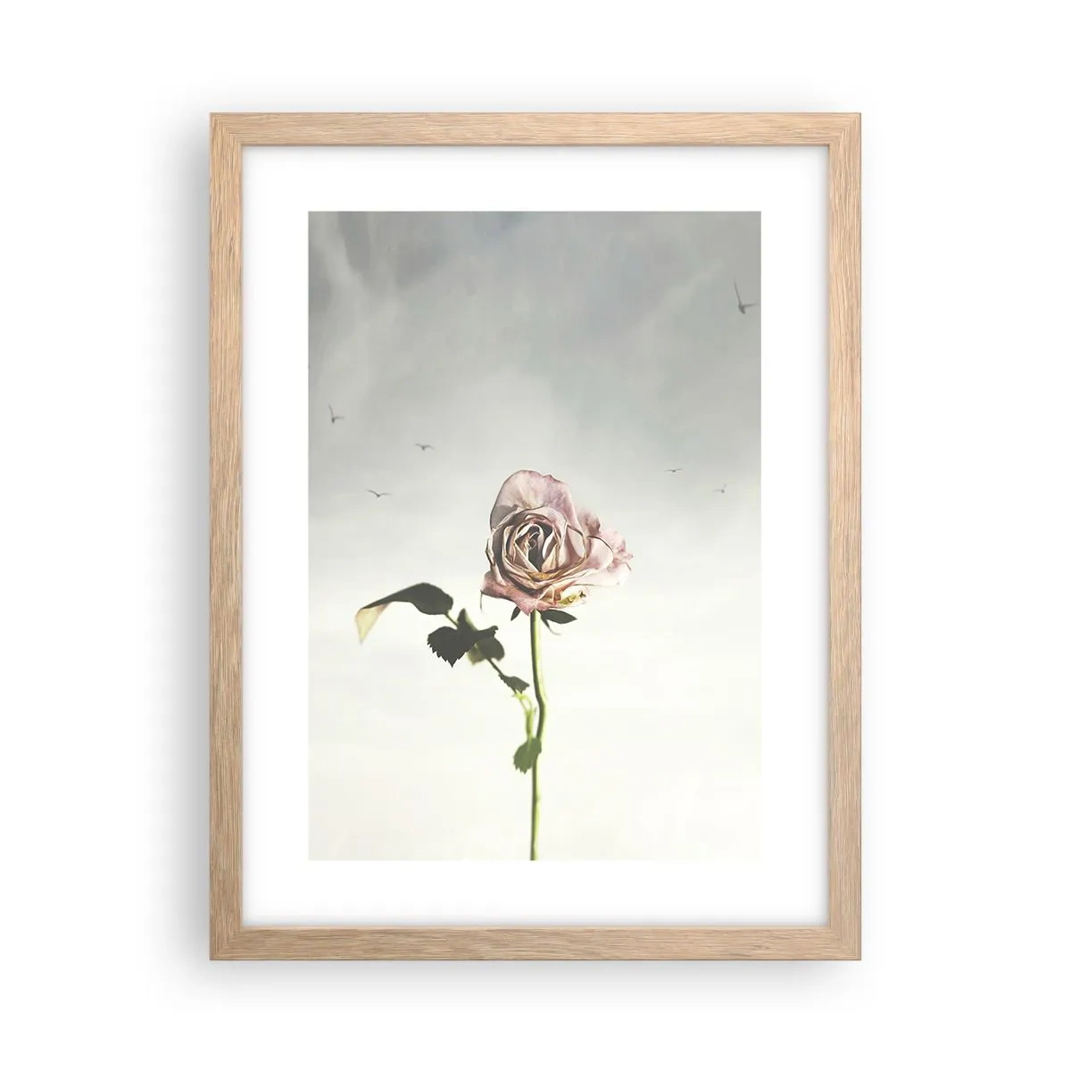 Póster en marco roble claro - Bienvenida a la primavera - 30x40 cm