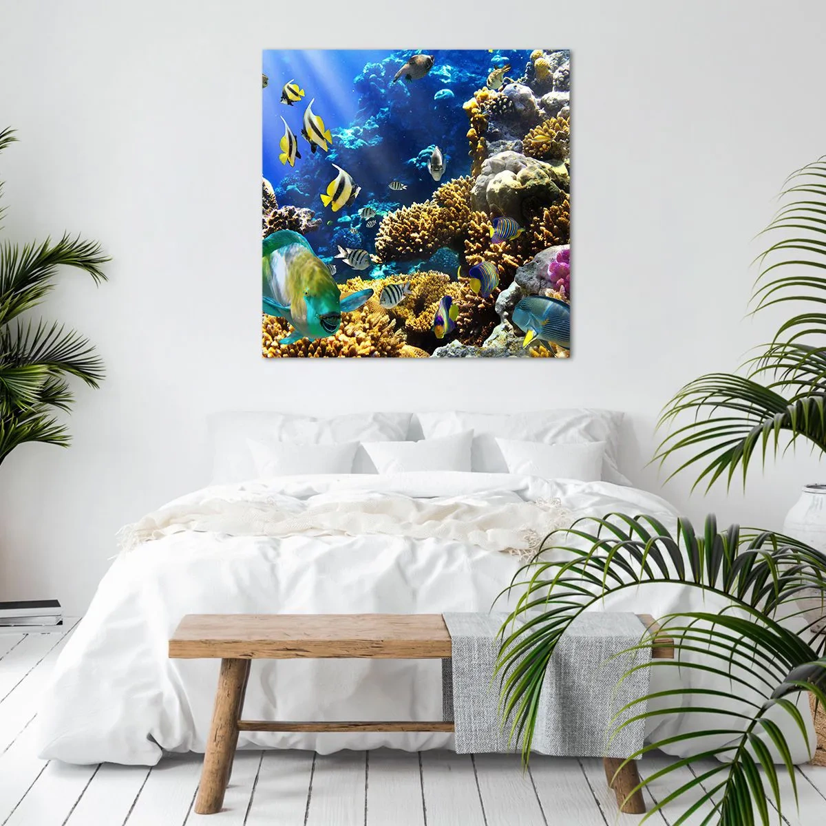 Cuadro sobre lienzo - Impresión de Imagen - Vacaciones submarinas - 40x40 cm