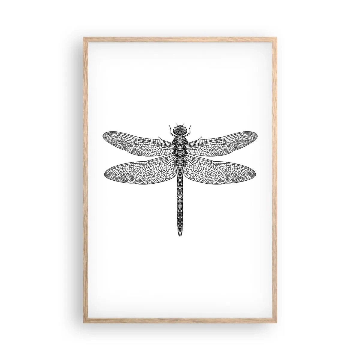 Póster en marco roble claro - Precisión de la naturaleza - 61x91 cm