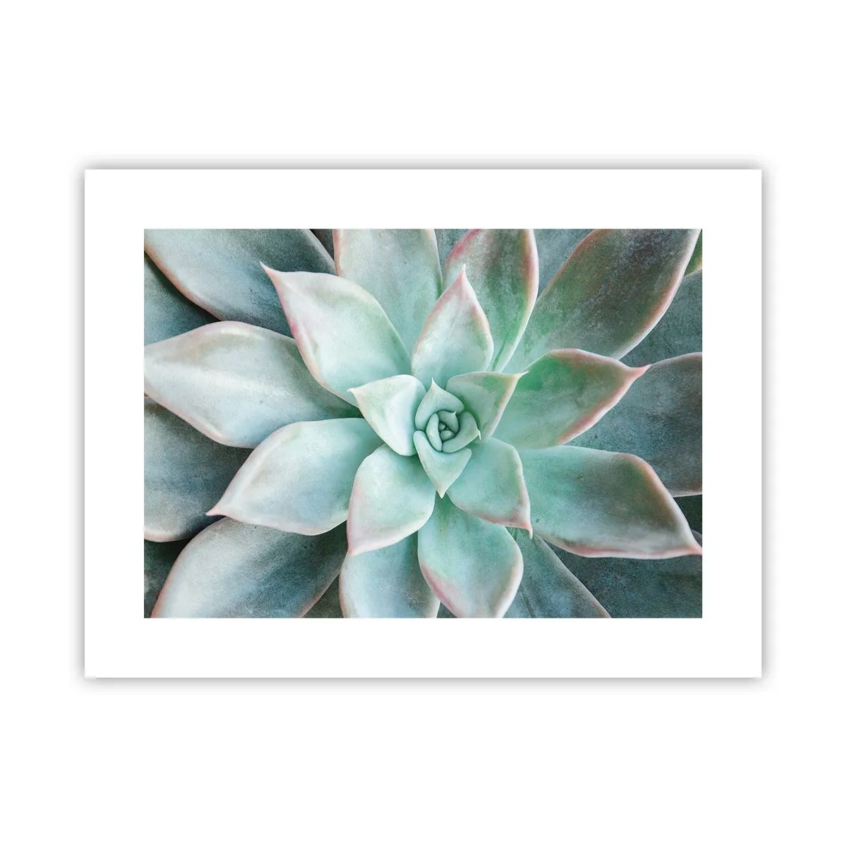 Póster - El corazón del desierto - 40x30 cm