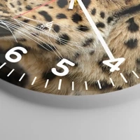 Esfera con numeración