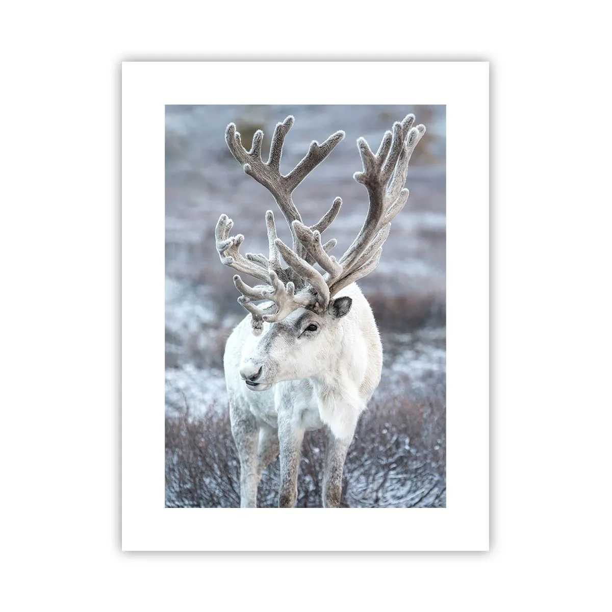 Póster - Retrato al sol - 30x40 cm