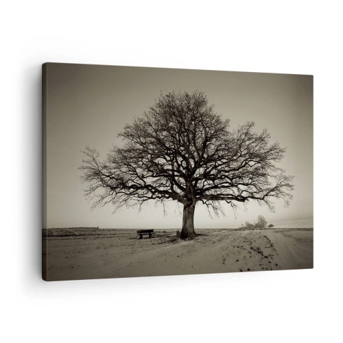 Cuadro sobre lienzo - Impresión de Imagen - Un árbol solitario en un campo sepia - 70x50cm - De aquí a la eternidad - Decoración de pared moderna para salón y dormitorio ARTTOR