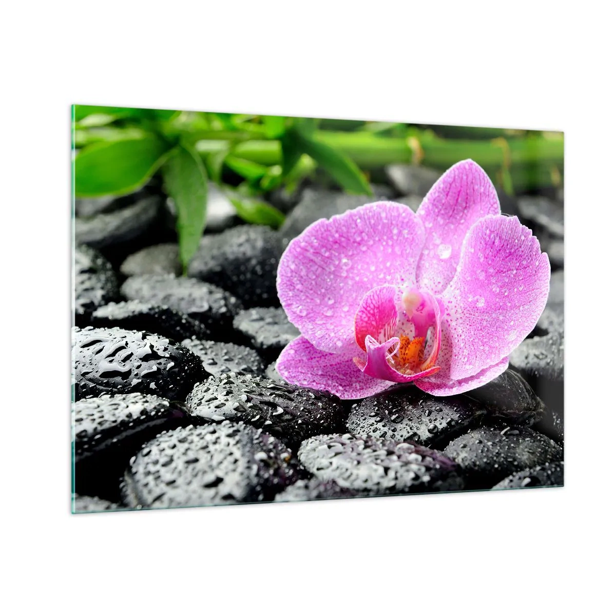 Cuadro sobre vidrio - Impresiones sobre Vidrio - Flor de orquídea rosa sobre piedras negras mojadas - 100x70cm - Como un corazón abierto - Decoración de pared moderna para salón y dormitorio ARTTOR