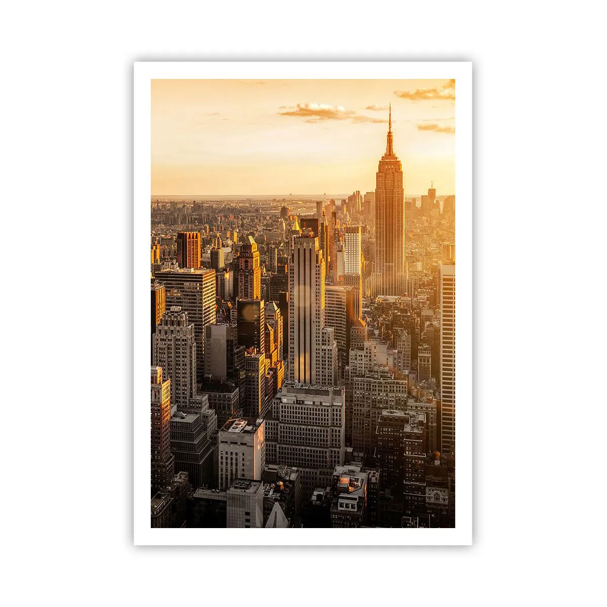 Póster - Creciendo al sol - 70x100 cm